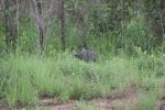 safrica_dec_13_image64.jpg